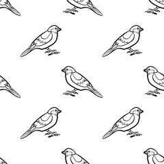 Small bird sparrow line drawing isolated on white background is in Seamless pattern - vector illustration