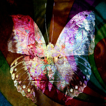 psychedelic Butterfly  texture Background