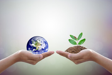 We love the world of ideas,World and tree in human hand on nature background. Elements of this image furnished by NASA..