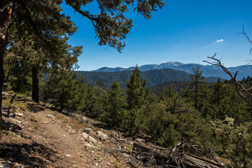 hiking trail with San Gorgonio Mountain in the background