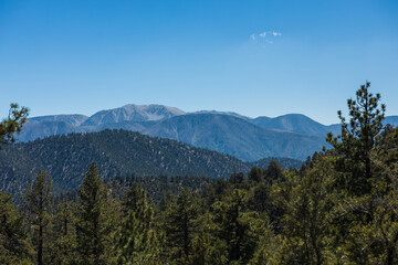 San Gorgonio Mountain in the summer
