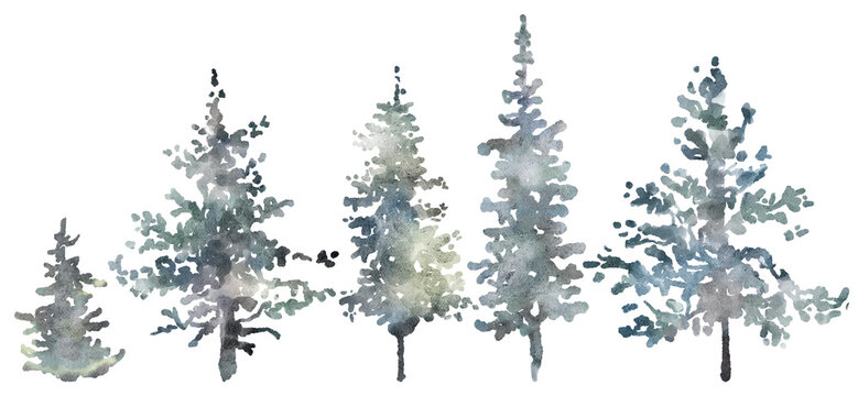 Watercolor hand drawn forest set with delicate illustration of coniferous trees spruce, fir, pine, foggy landscapes silhouette. Elements isolated on a white background. Woodland collection