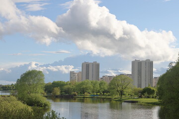 Lush greenery of trees and lawns around the pond in the park, urban landscape park.