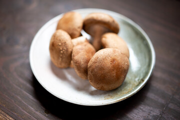 椎茸
