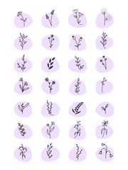 Hand Drawn Botanical Elements