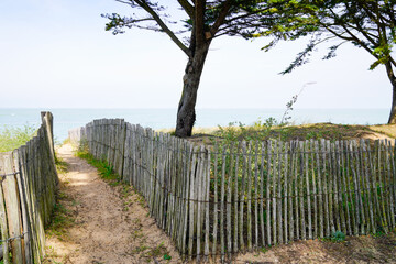 wooden path coast access with sand beach entrance to ocean atlantic sea in isle oleron island france - obrazy, fototapety, plakaty