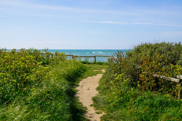Fototapeta na wymiar natural pathway in dune access to beach sea in oleron island coast Atlantic ocean in france