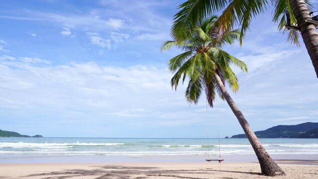 Beautiful coconut palm trees on the beach Phuket Thailand, Patong beach Islands Palms on the summer beach with white sandy blue sky Summer landscape background