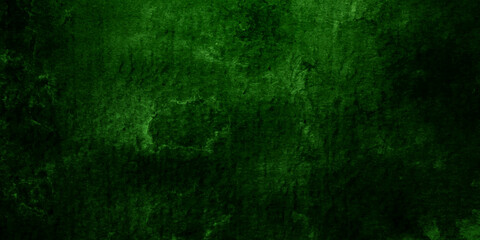 Obraz na płótnie Canvas Old wall texture cement dark black green backdrop panorama background abstract green color design are light with white gradient background.