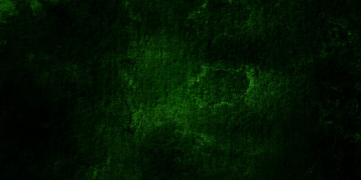Abstract Old wall texture cement dark black green backdrop panorama background abstract green color design are light with white gradient background.