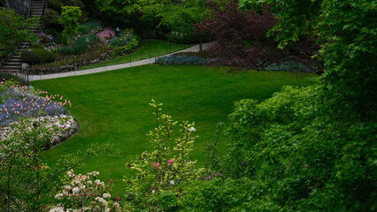 Garden with green and flowers