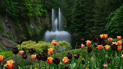 Garden with green and flowers