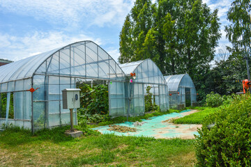 Fototapeta na wymiar Greenhouse on green grass in rural area with fresh air