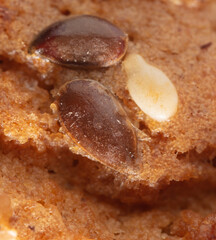 Sesame seeds on a ruddy cupcake.