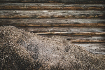A pile of straw against a wooden wall. The old barn wall. Rustic background with a place to record.