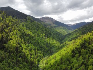 Fototapeta premium landscape in the mountains