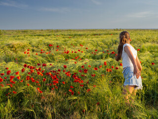 Obraz na płótnie Canvas A girl walks through a poppy field. A rear view of a teenage girl standing in a wheat field with red poppies under a blue sky in the rays of sunset. Summer landscape. Warm colors