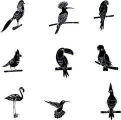 Exotic birds black and white flat vector icon collection
