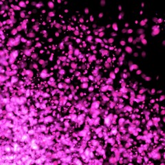 background with flowers