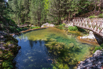 Fontegreca, Campania, Matese Regional Park. La Cipresseta © serfeo