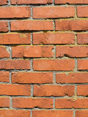 brick-red wall texture vertical photo. background of the wall of an old brick house