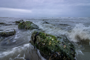 Moss-covered rocks in the rough North Sea near Callantsoog in the Netherlands.
