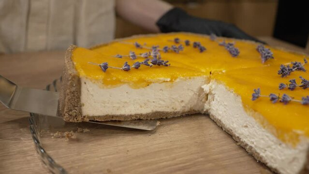 Baker takes piece of cheesecake with orange jam with special spatula. Delicious cheesecake with orange jam decorated with lavender flowers closeup