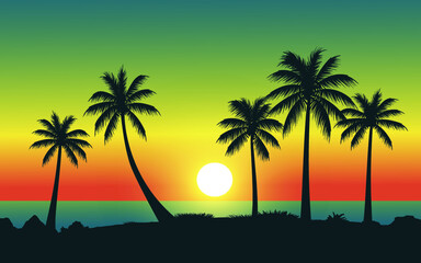 palm trees at sunset