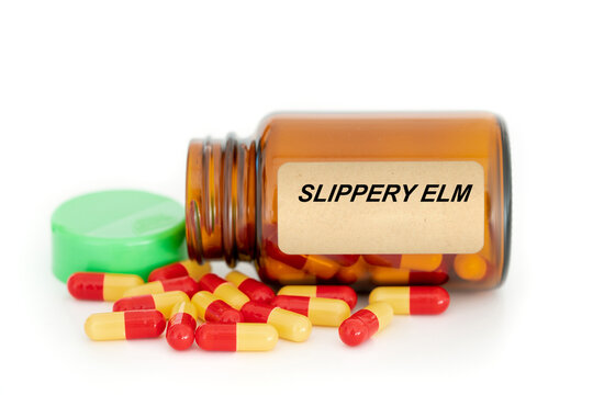 Herbs medical concept Food supplement, Herbal medicine in capsules from plants Slippery Elm
