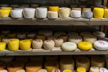 Farm cheese production. Cheese of different varieties on the shelves in the refrigerator. Many types of farm cheese on the shelves of the storage chamber. Farm cheese factory. cheese warehouse, stores