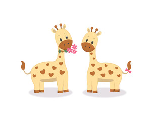 Pair of giraffes.