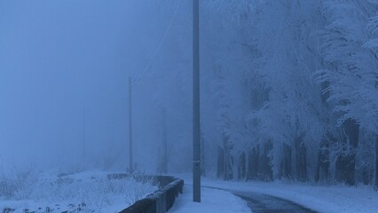 snow covered road