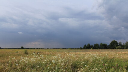 field and sky
