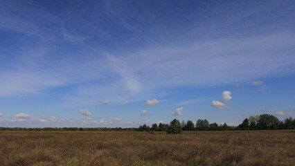 flying over the field