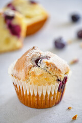 Fragrant lemon muffins with blueberries on a gray background