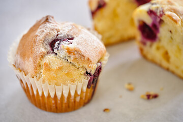 Fragrant lemon muffins with blueberries on a gray background