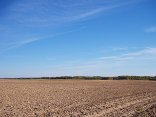 Clear blue sky over a cultivated field. Landscape.