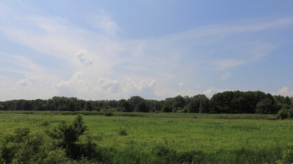landscape with clouds