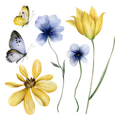 Collection of watercolors blue and yellow flowers with butterflies. Illustration with field flowers.