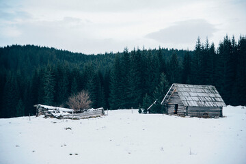 Tiny cabin in a winter forest on a gloomy day. 