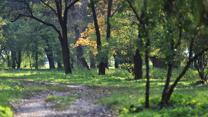 autumn in the park