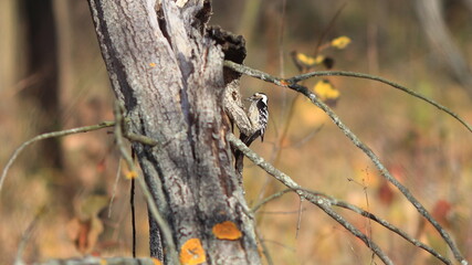 barbed wire on a fence