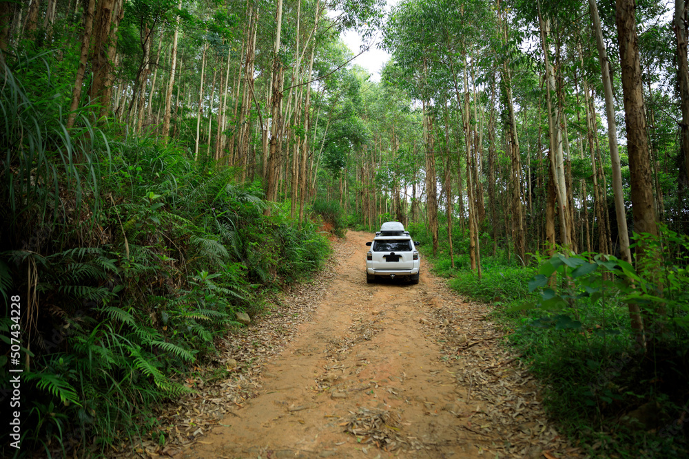 Wall mural Driving off road car in tropical forest mountains - Wall murals