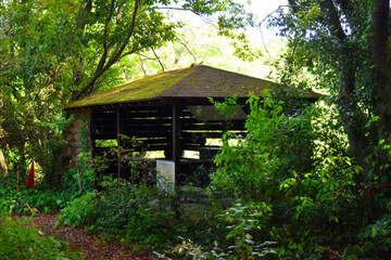 Forest gazebo covered with moss, summer house in the forest