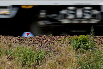 A train traveling down an embankment overgrown with grass and flowers.