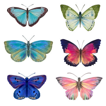 Set of watercolor butterflies isolated on white background. Butterflies drawn on paper for design, print, wallpaper, textile.