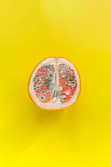 The concept of vaginal disease: venereal diseases, Vaginal yeast infection, Syphilis. Orange with mold on a yellow background - 507437684