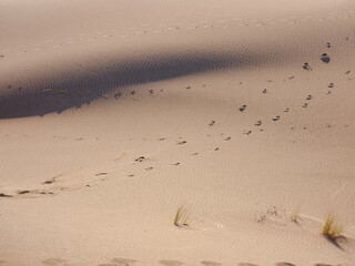 Patara beach is famous tourist landmark and natural destination in Turkey. Majestic view of orange sand dunes and hills glows