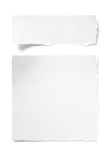 Ripped piece of paper isolated on white