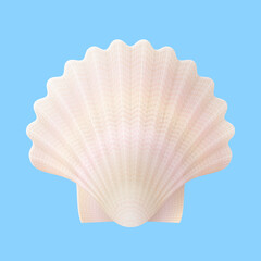 Seashell isolated on blue background. Nacreous scallops shell, top view. Vector illustration for travel concept, seafood, southern nature, seaside resort, beach, etc